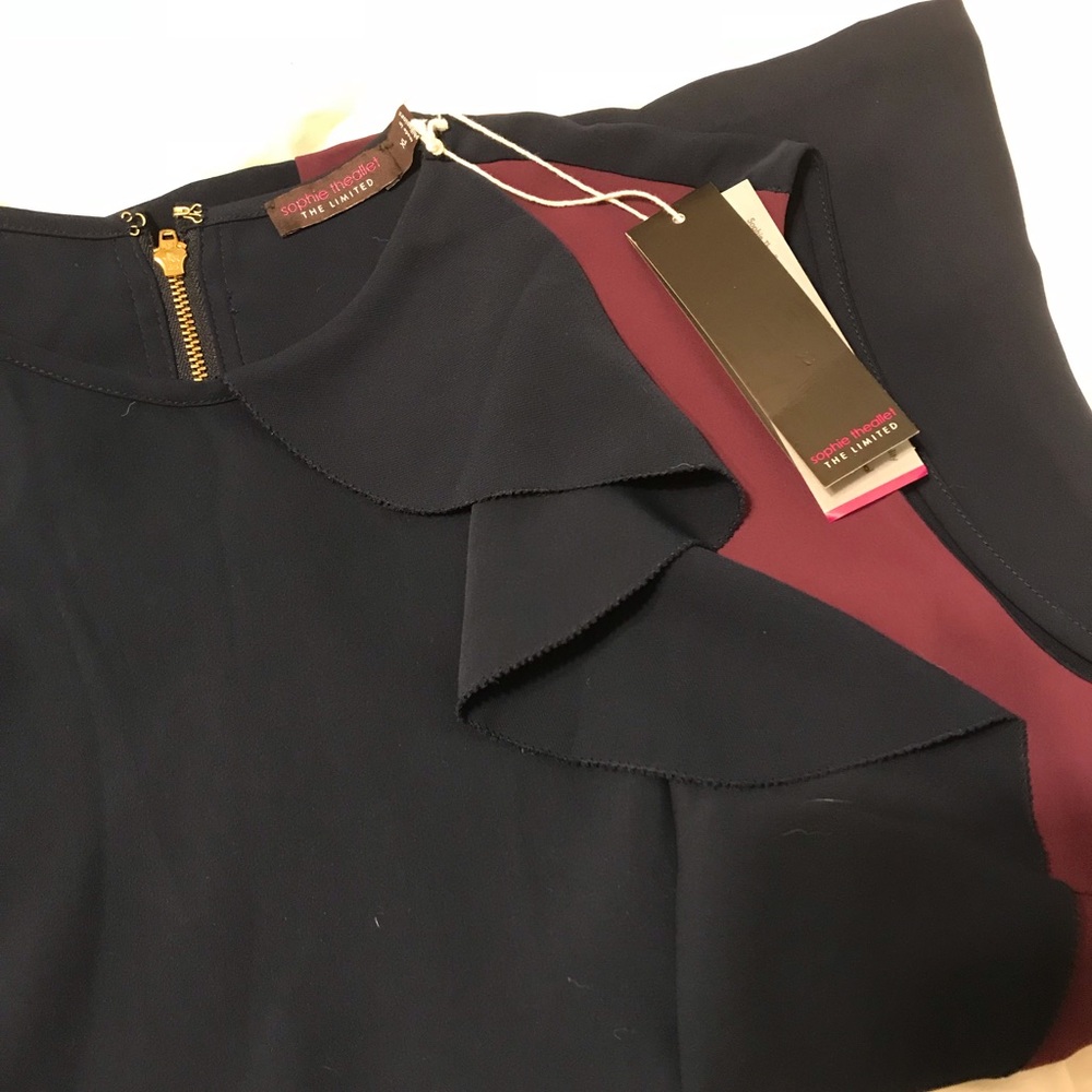 The Limited Ruffle Detailed Blouse - Picture 3 of 3